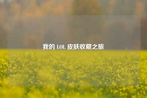我的 LOL 皮肤收藏之旅