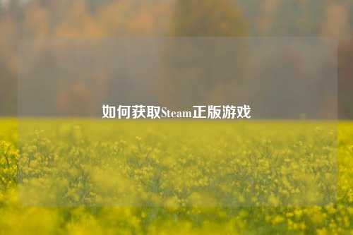 如何获取Steam正版游戏