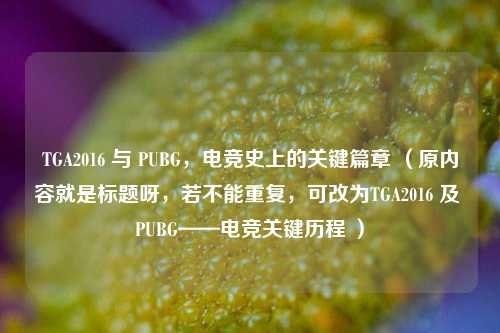 TGA2016 与 PUBG，电竞史上的关键篇章 （原内容就是标题呀，若不能重复，可改为TGA2016 及 PUBG——电竞关键历程 ）