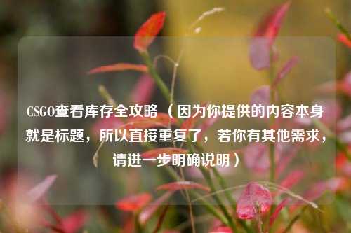 CSGO查看库存全攻略 (因为你提供的内容本身就是标题,所以直接重复了,若你有其他需求,请进一步明确说明)