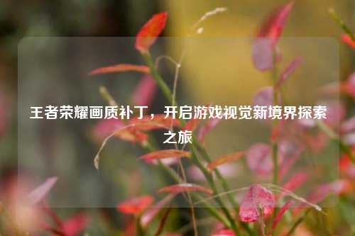 王者荣耀画质补丁，开启游戏视觉新境界探索之旅