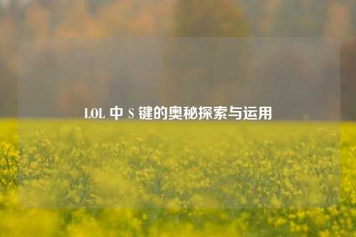 LOL 中 S 键的奥秘探索与运用