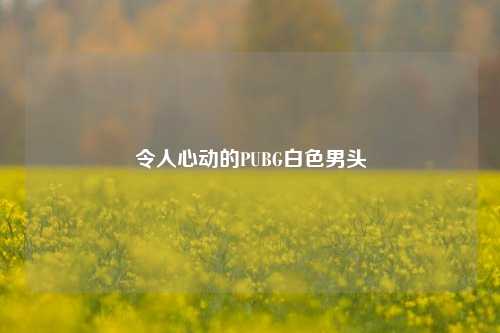 令人心动的PUBG白色男头