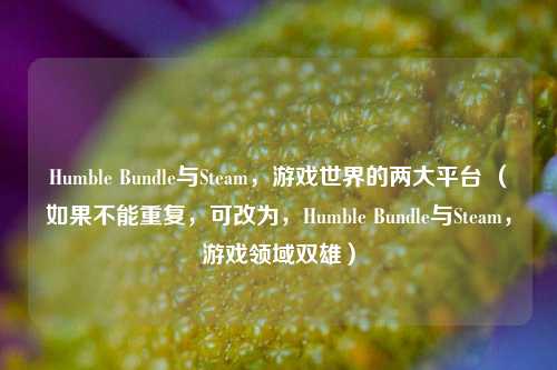 Humble Bundle与Steam，游戏世界的两大平台 （如果不能重复，可改为，Humble Bundle与Steam，游戏领域双雄）