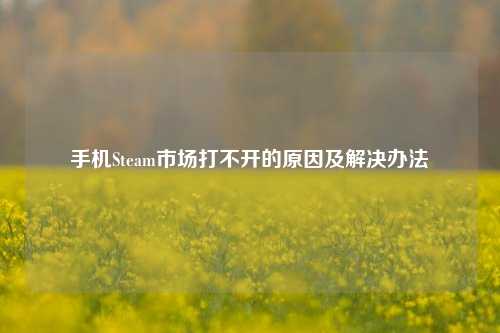 手机Steam市场打不开的原因及解决办法