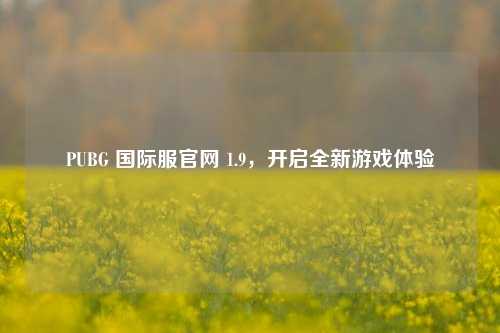 PUBG 国际服官网 1.9，开启全新游戏体验