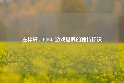 左梓轩，PUBG 游戏世界的独特标识