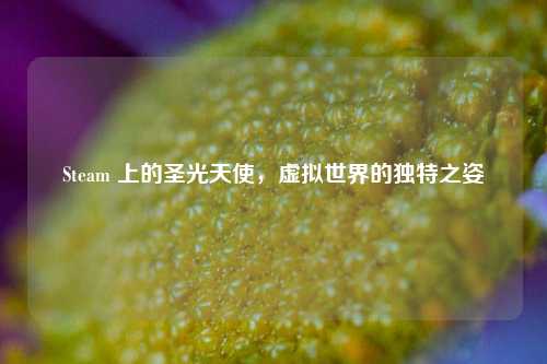 Steam 上的圣光天使，虚拟世界的独特之姿