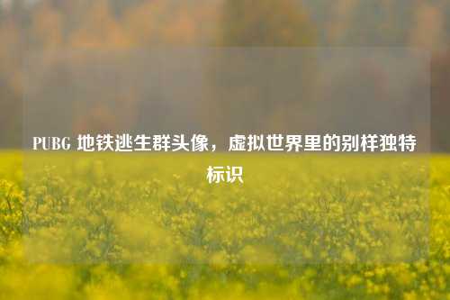 PUBG 地铁逃生群头像,虚拟世界里的别样独特标识