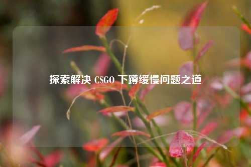 探索解决 CSGO 下蹲缓慢问题之道