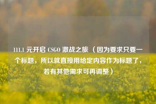 111.1 元开启 CSGO 激战之旅 (因为要求只要一个标题,所以就直接用给定内容作为标题了,若有其他需求可再调整)