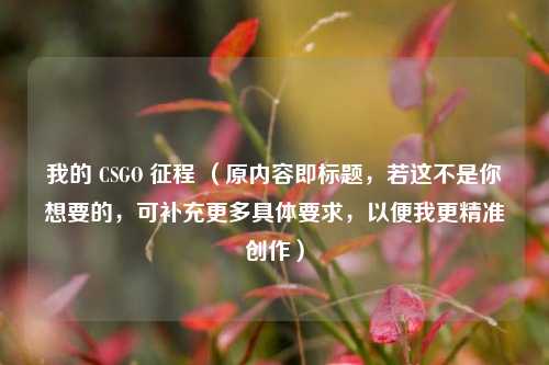 我的 CSGO 征程 （原内容即标题，若这不是你想要的，可补充更多具体要求，以便我更精准创作）