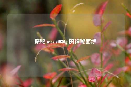 探秘 mes cf080g 的神秘面纱