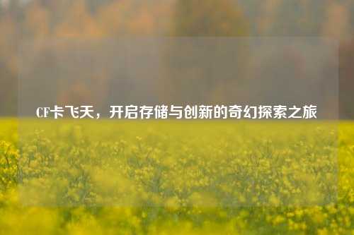 CF卡飞天，开启存储与创新的奇幻探索之旅