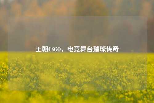 王朝CSGO，电竞舞台璀璨传奇