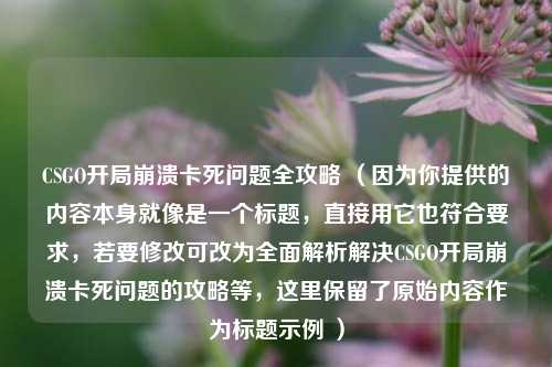 CSGO开局崩溃卡死问题全攻略 （因为你提供的内容本身就像是一个标题，直接用它也符合要求，若要修改可改为全面解析解决CSGO开局崩溃卡死问题的攻略等，这里保留了原始内容作为标题示例 ）