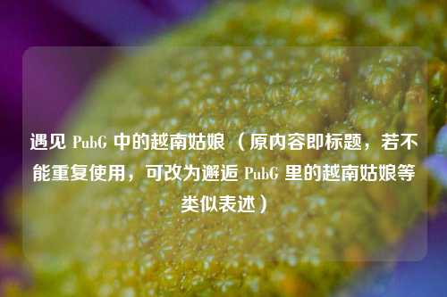 遇见 PubG 中的越南姑娘 （原内容即标题，若不能重复使用，可改为邂逅 PubG 里的越南姑娘等类似表述）