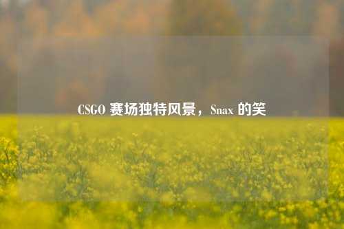 CSGO 赛场独特风景,Snax 的笑
