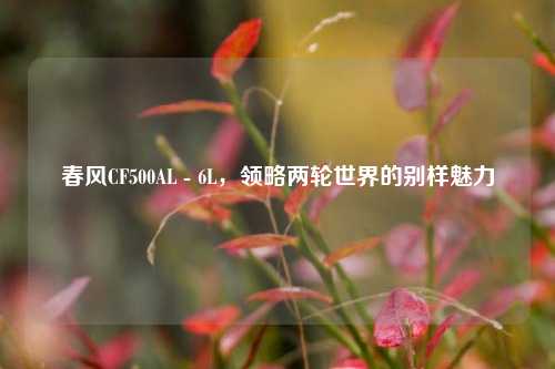 春风CF500AL - 6L,领略两轮世界的别样魅力