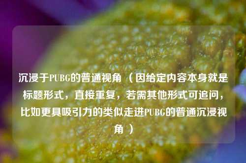 沉浸于PUBG的普通视角 (因给定内容本身就是标题形式,直接重复,若需其他形式可追问,比如更具吸引力的类似走进PUBG的普通沉浸视角 )