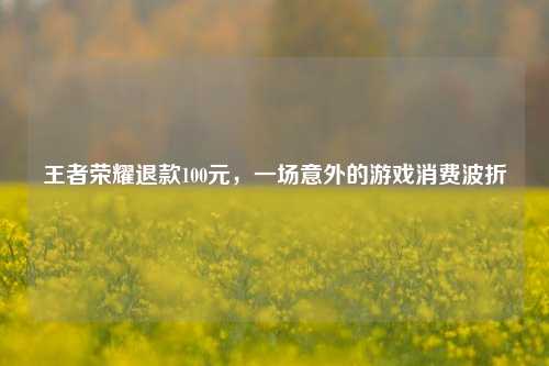 王者荣耀退款100元，一场意外的游戏消费波折
