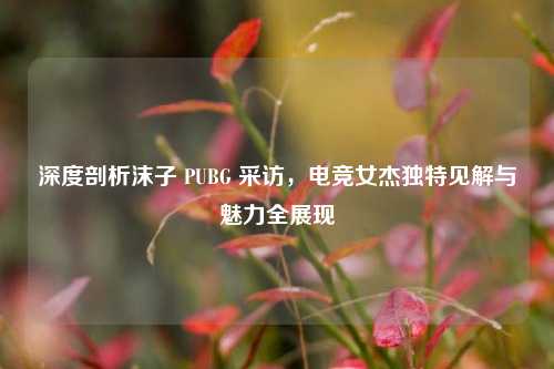 深度剖析沫子 PUBG 采访，电竞女杰独特见解与魅力全展现
