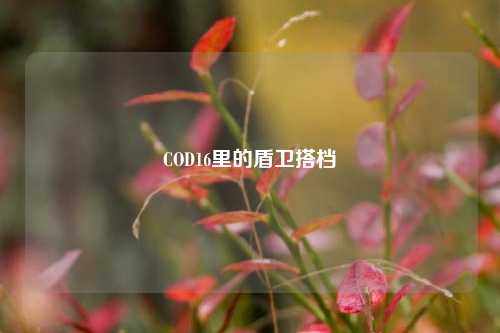 COD16里的盾卫搭档