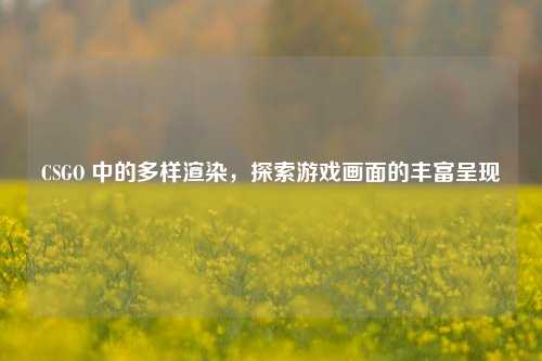 CSGO 中的多样渲染，探索游戏画面的丰富呈现