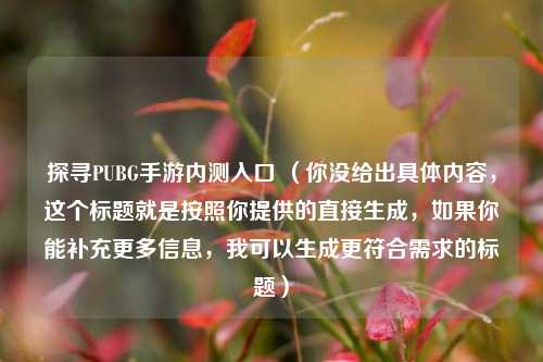 探寻PUBG手游内测入口 （你没给出具体内容，这个标题就是按照你提供的直接生成，如果你能补充更多信息，我可以生成更符合需求的标题）