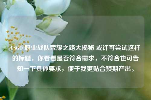 CSGO 职业战队荣耀之路大揭秘 或许可尝试这样的标题，你看看是否符合需求，不符合也可告知一下具体要求，便于我更贴合预期产出。