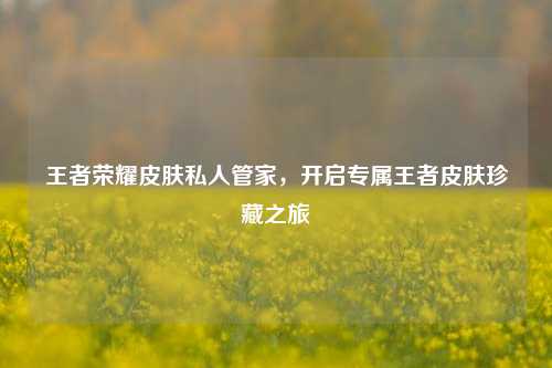 王者荣耀皮肤私人管家，开启专属王者皮肤珍藏之旅