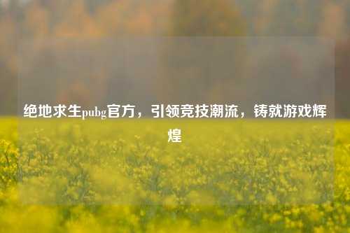 绝地求生pubg官方，引领竞技潮流，铸就游戏辉煌