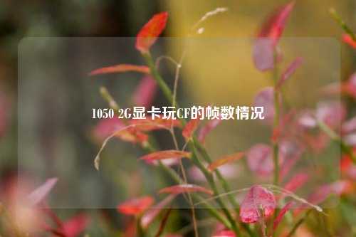 1050 2G显卡玩CF的帧数情况