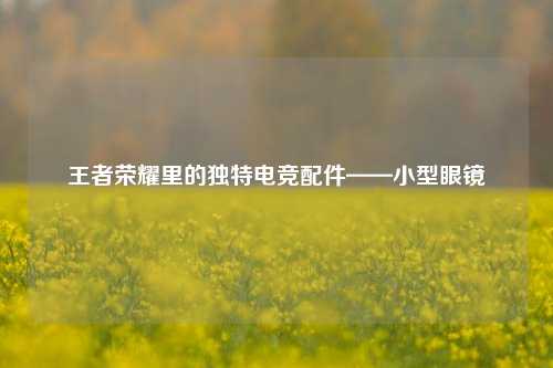 王者荣耀里的独特电竞配件——小型眼镜