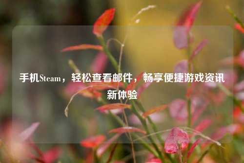 手机Steam,轻松查看邮件,畅享便捷游戏资讯新体验
