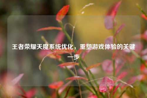王者荣耀天魔系统优化,重塑游戏体验的关键一步