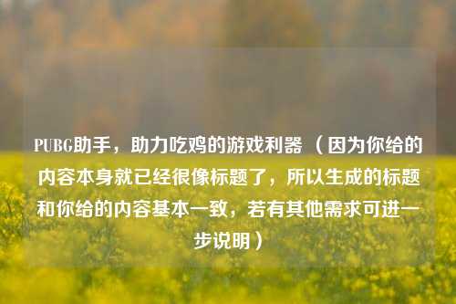 PUBG助手,助力吃鸡的游戏利器 (因为你给的内容本身就已经很像标题了,所以生成的标题和你给的内容基本一致,若有其他需求可进一步说明)