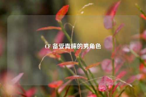 CF 备受青睐的男角色