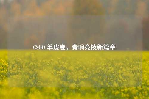 CSGO 羊皮卷，奏响竞技新篇章