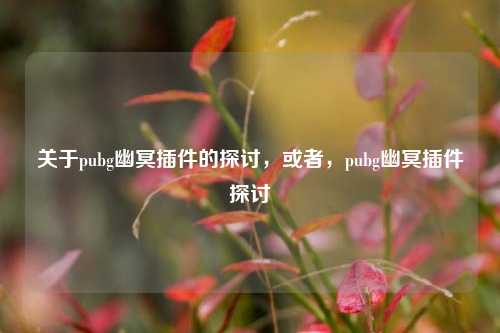 关于pubg幽冥插件的探讨，或者，pubg幽冥插件探讨
