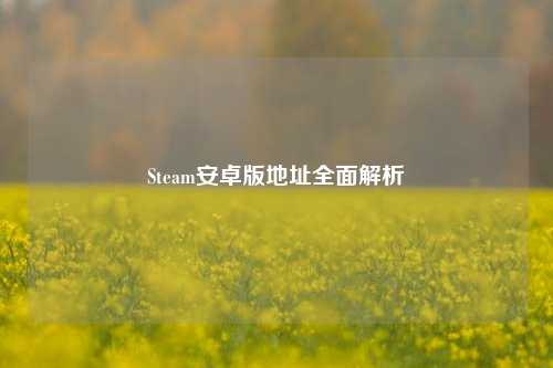 Steam安卓版地址全面解析