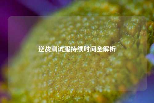 逆战测试服持续时间全解析