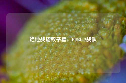 绝地战场双子星，PUBG 2战队