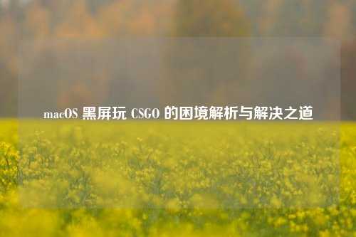macOS 黑屏玩 CSGO 的困境解析与解决之道