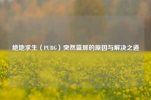 绝地求生（PUBG）突然蓝屏的原因与解决之道