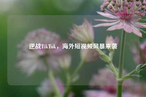 逆战TikTok，海外短视频风暴来袭