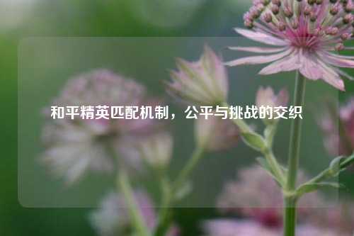 和平精英匹配机制，公平与挑战的交织