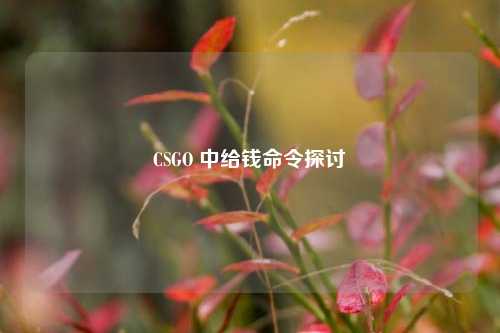 CSGO 中给钱命令探讨