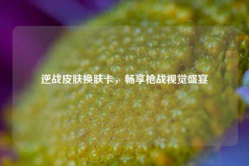 逆战皮肤换肤卡，畅享枪战视觉盛宴