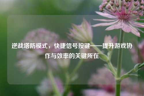 逆战塔防模式，快捷信号按键——提升游戏协作与效率的关键所在